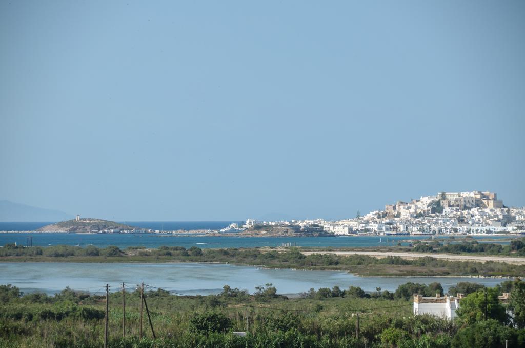 Naxian Spirit Suites & Apartments Agia Anna  Exterior photo